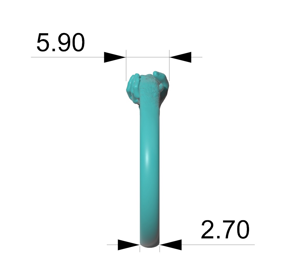 hand and paw ring 3D print model_8