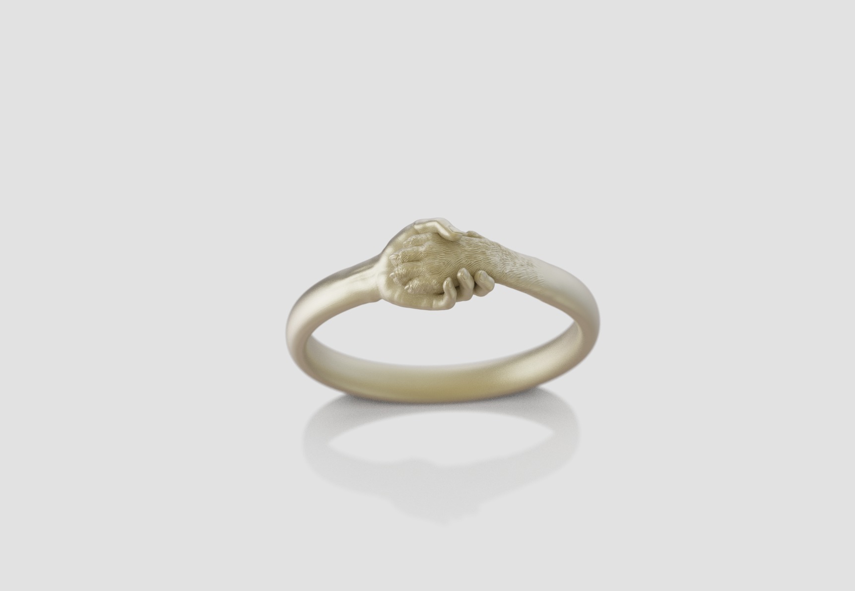 hand and paw ring 3D print model_2