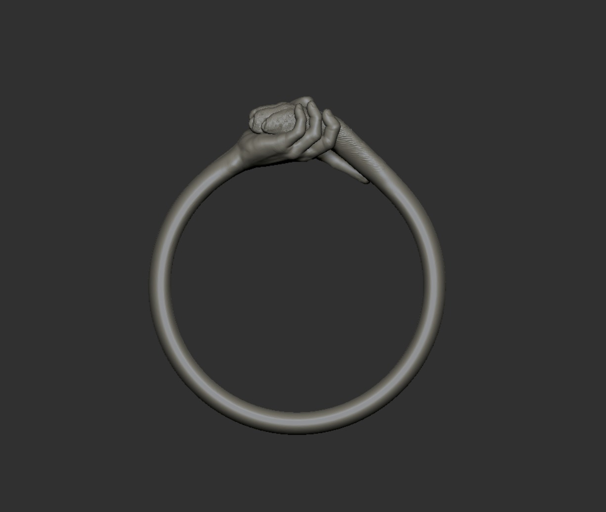 hand and paw ring 3D print model_23
