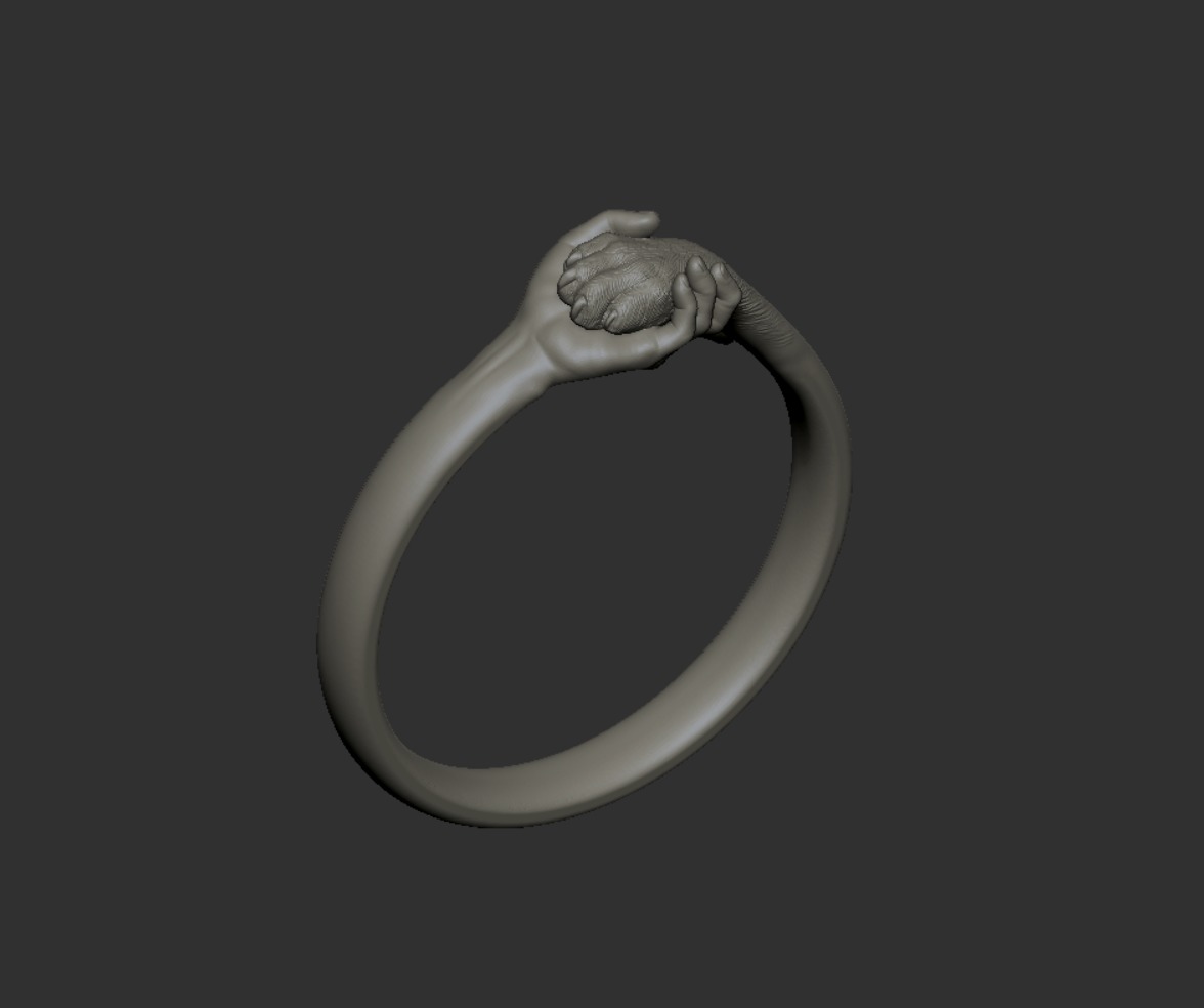 hand and paw ring 3D print model_24