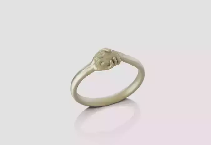 hand and paw ring