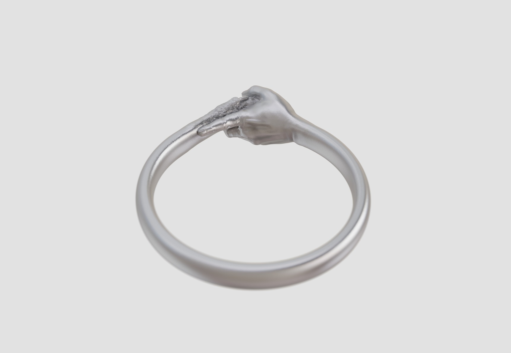 hand and paw ring 3D print model_14