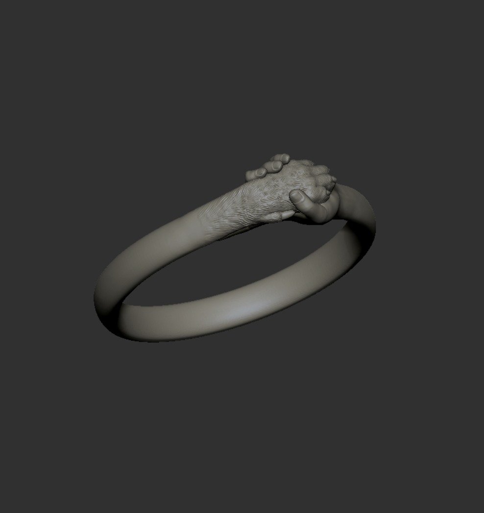 hand and paw ring 3D print model_25