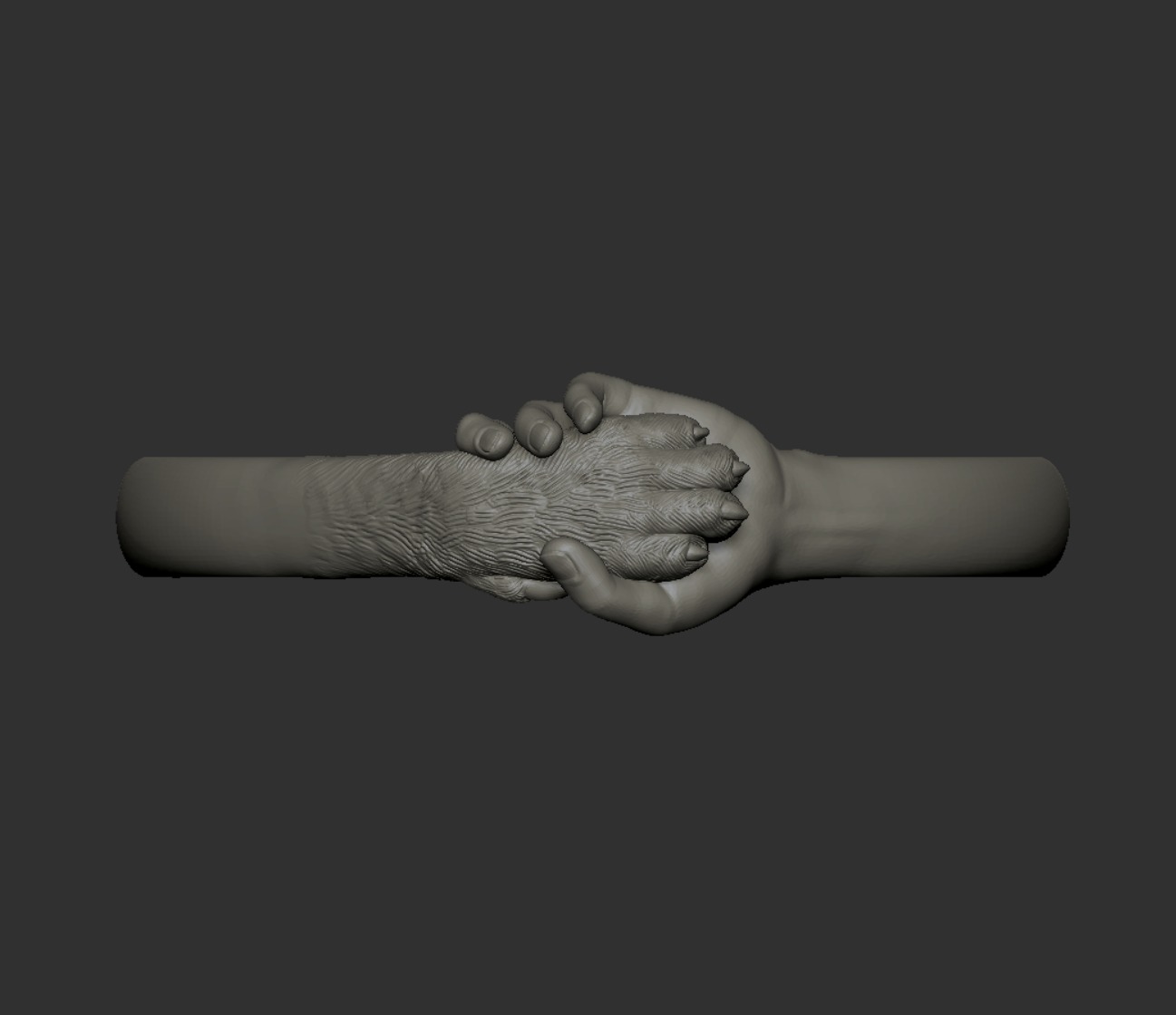 hand and paw ring 3D print model_21