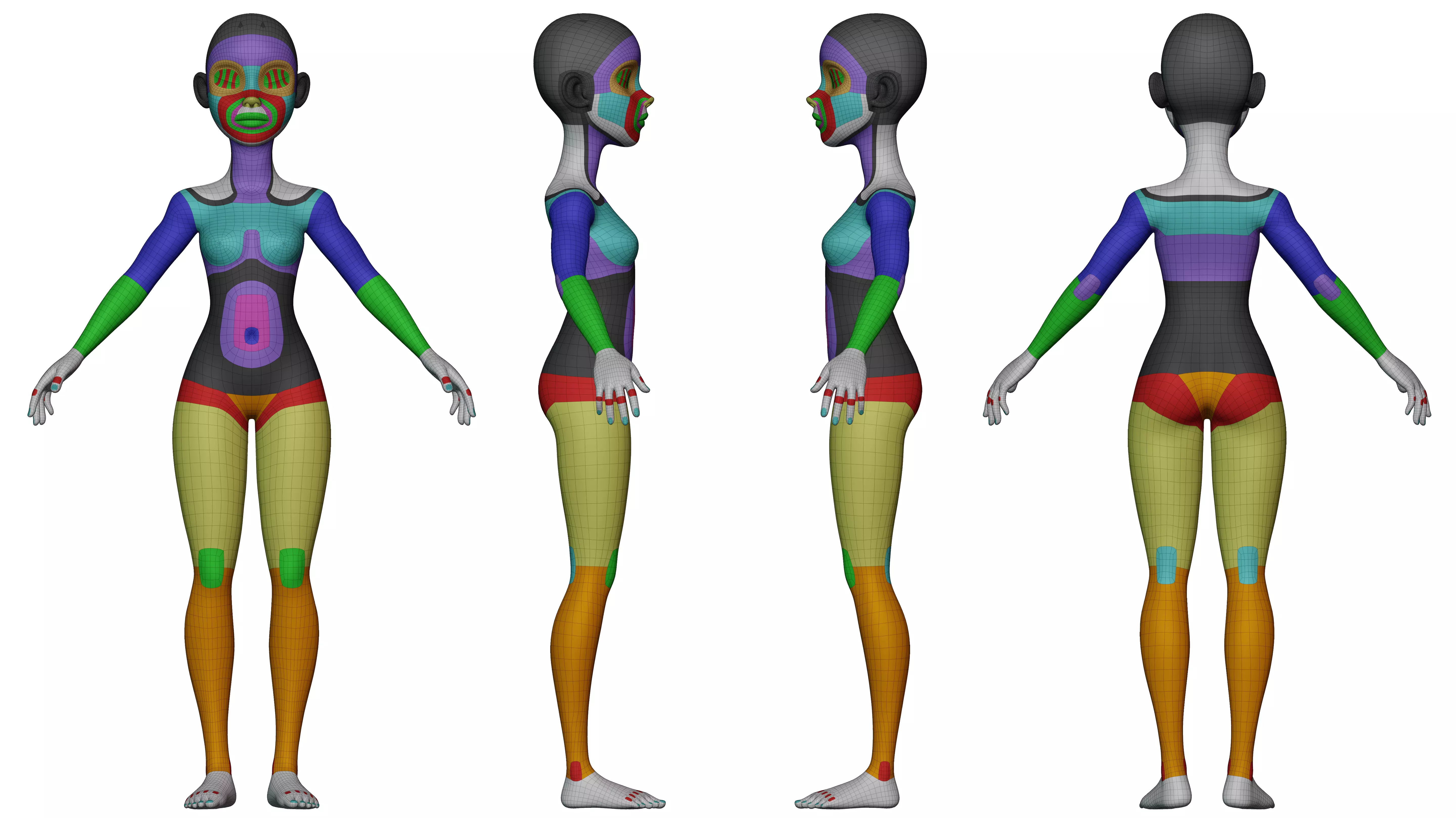 Hoor Cartoon Character Rigged in Blender low-poly 3d model Low-poly 3D model_0