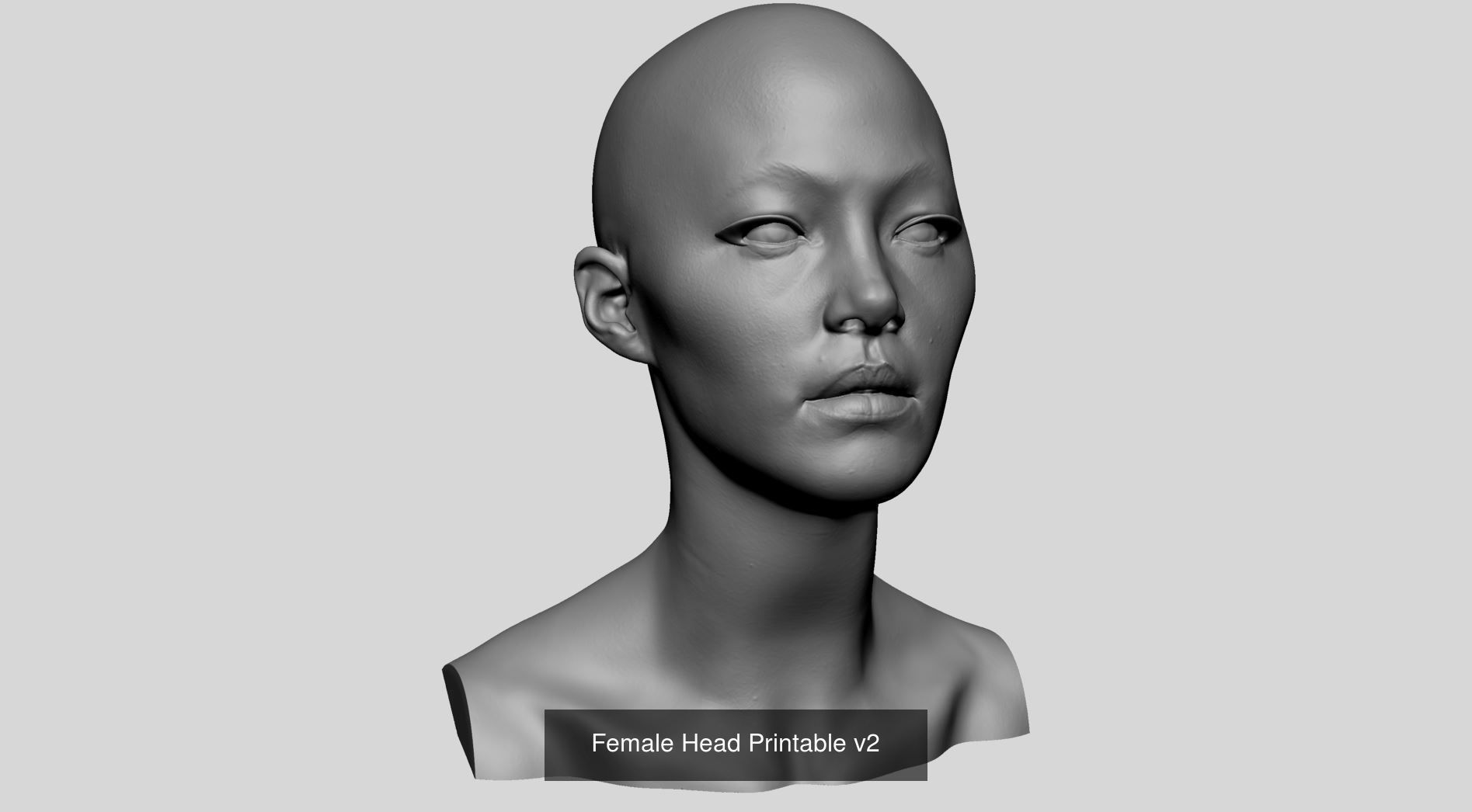 Female Heads for 3DPrint 3D Model Collection_2
