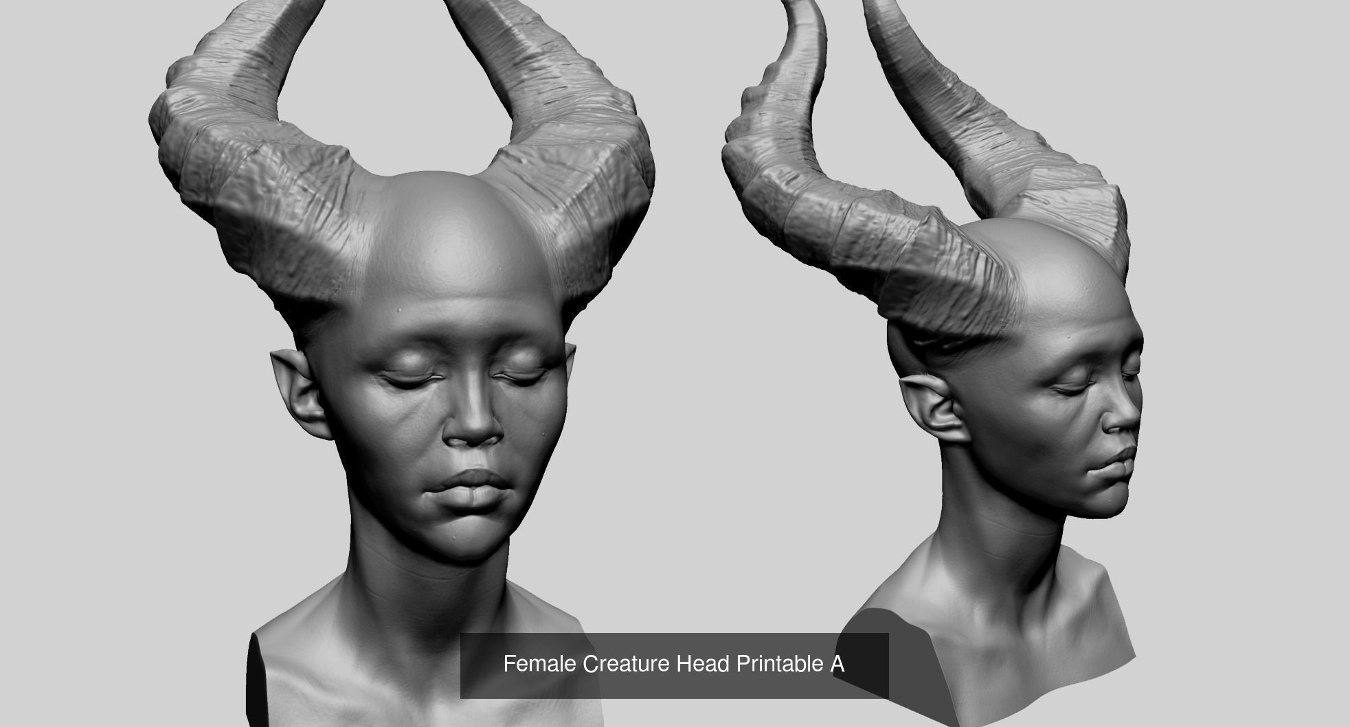 Female Heads for 3DPrint 3D Model Collection_13