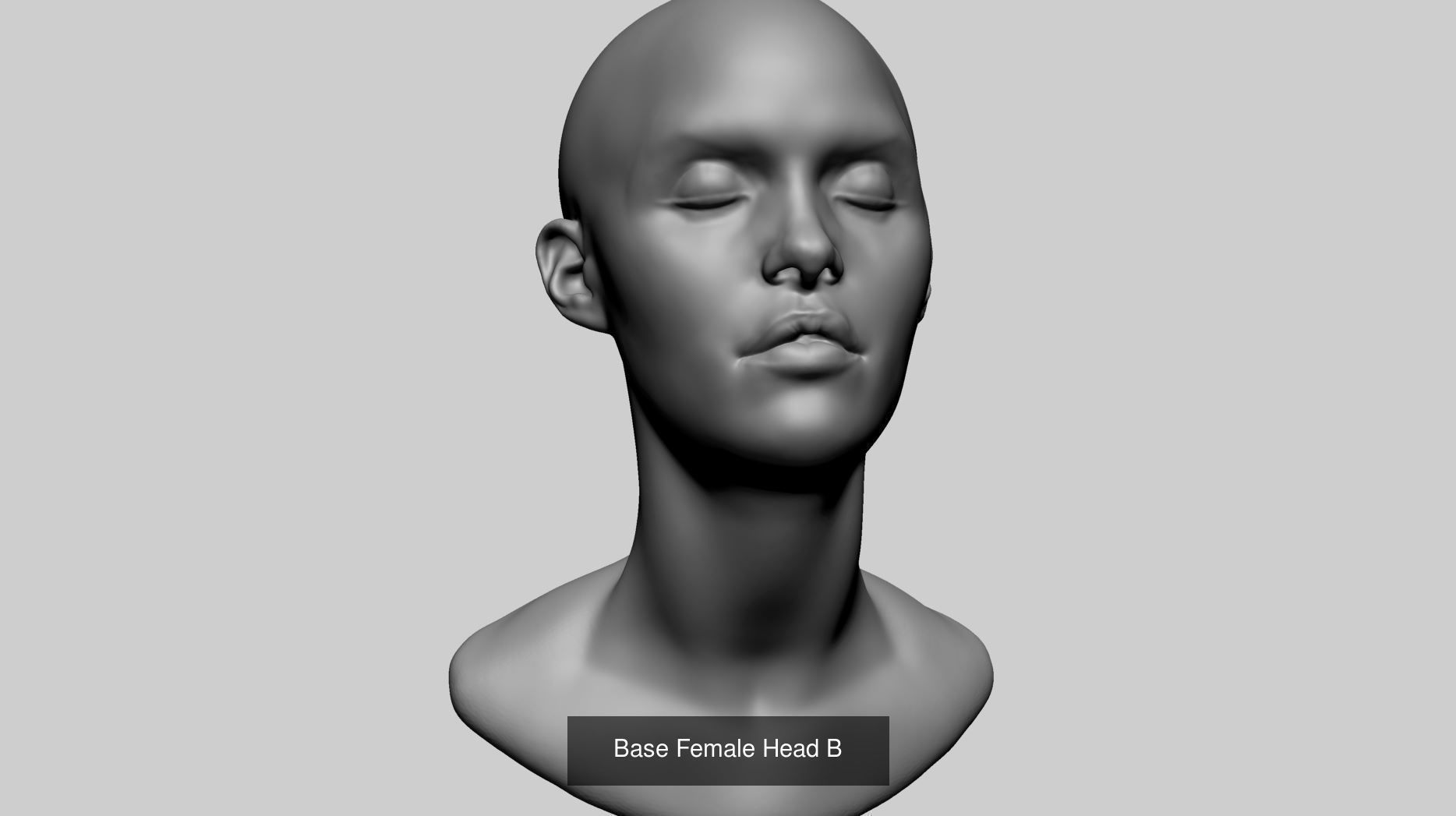 Female Heads for 3DPrint 3D Model Collection_7