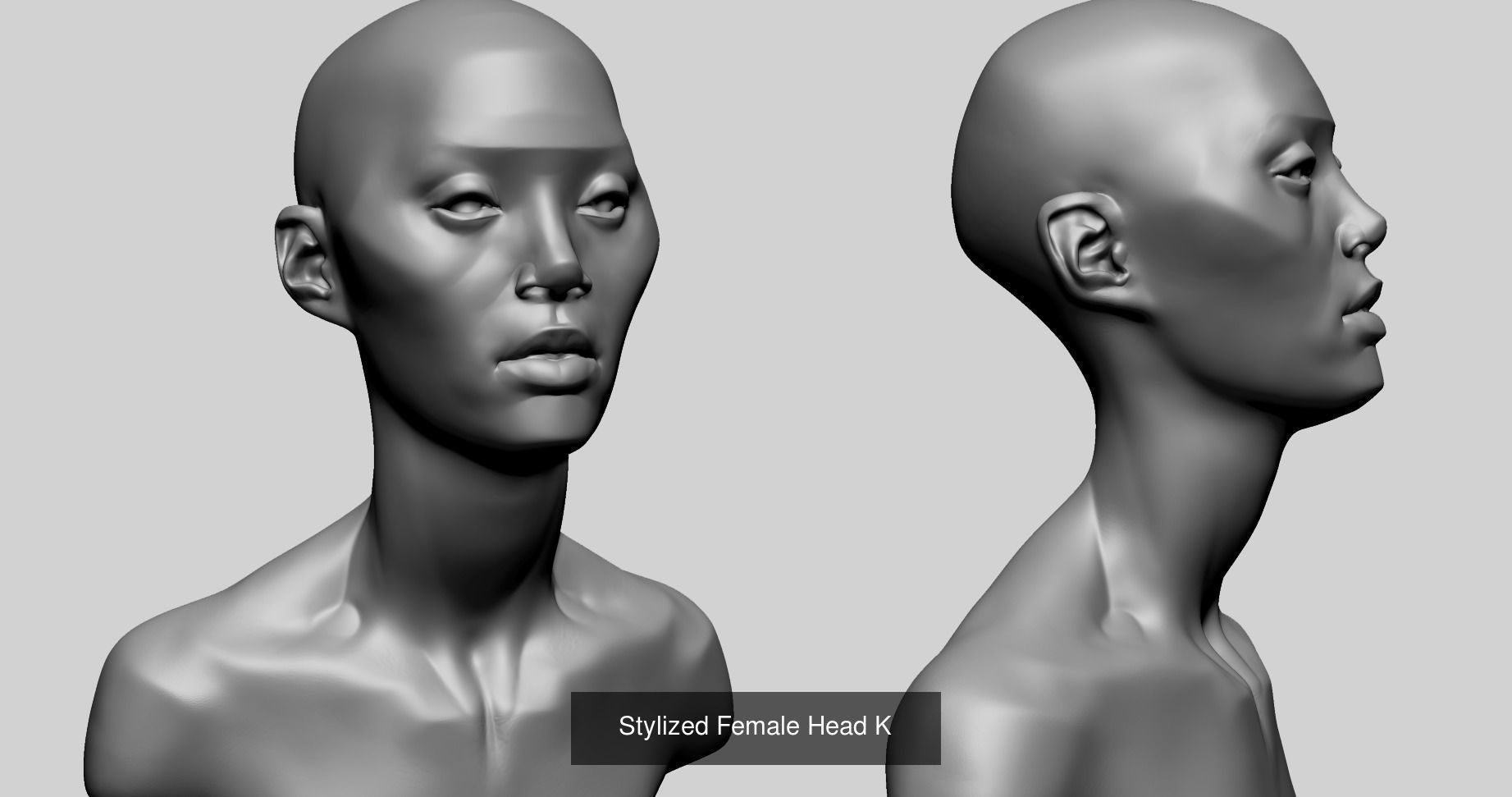 Female Heads for 3DPrint 3D Model Collection_14