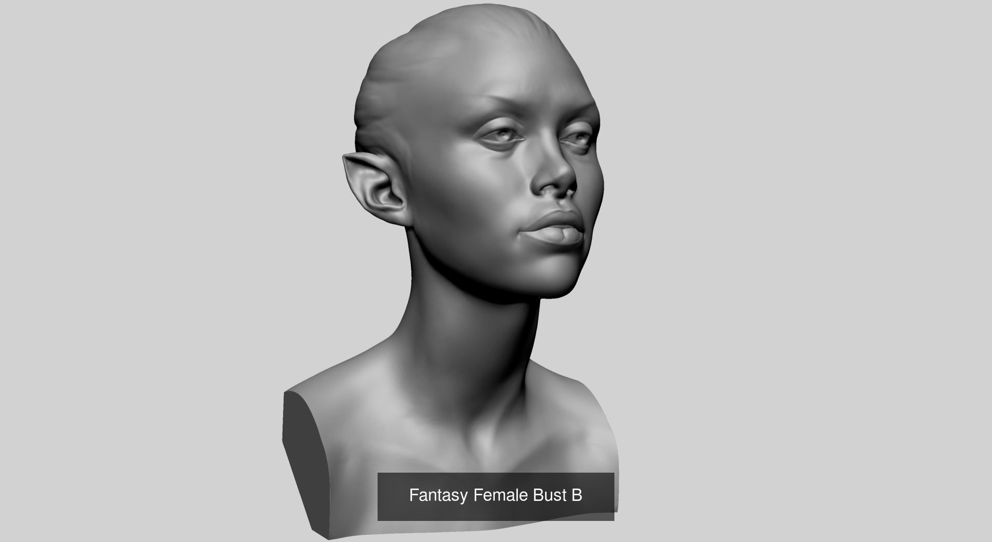 Female Heads for 3DPrint 3D Model Collection_8