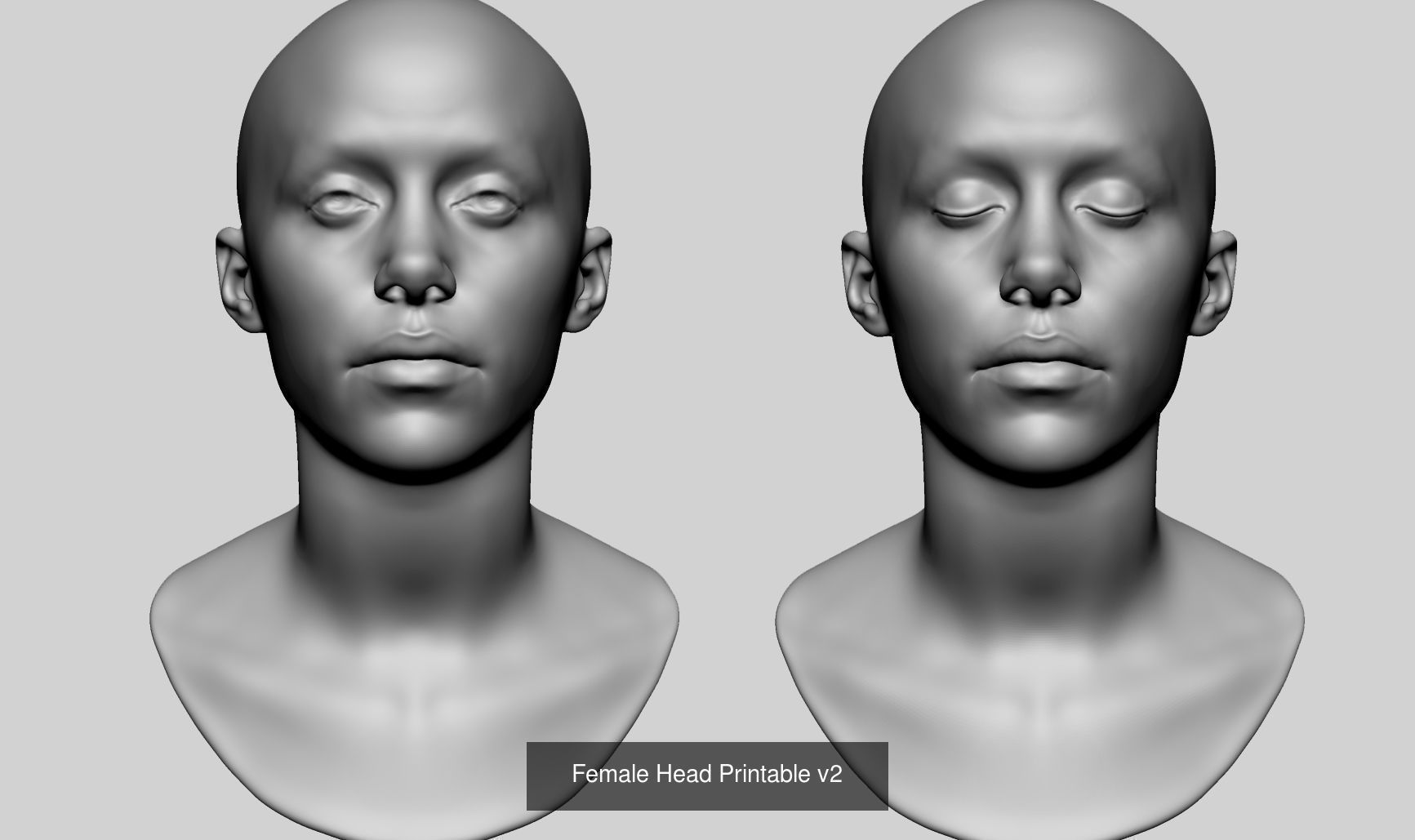 Female Heads for 3DPrint 3D Model Collection_1