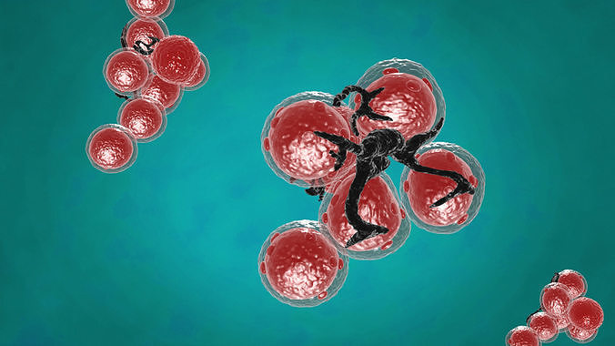 Viruses bacteria Science cells nerve cells neurons 3D model