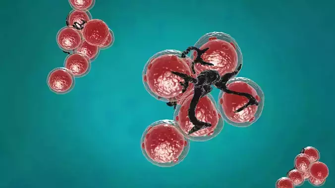 Viruses bacteria Science cells nerve cells neurons