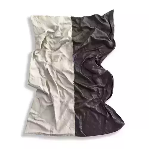 Half Black Linear Crunch 2018 wall art 3D model