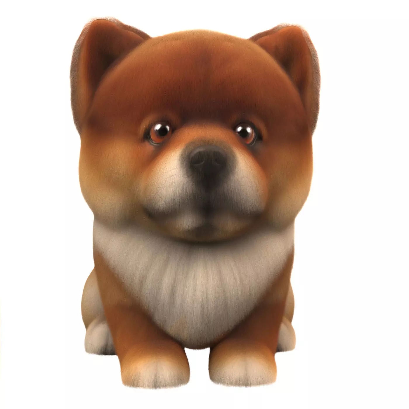 Pomeranian dog 3D model