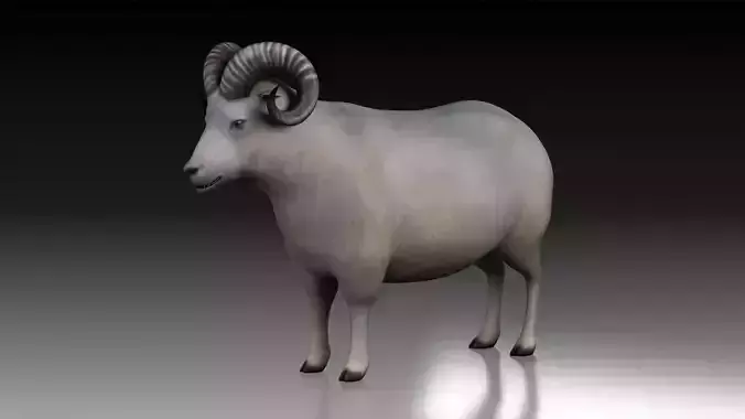 sheep ram ewe lamp wool fur farm livestock domesticated 