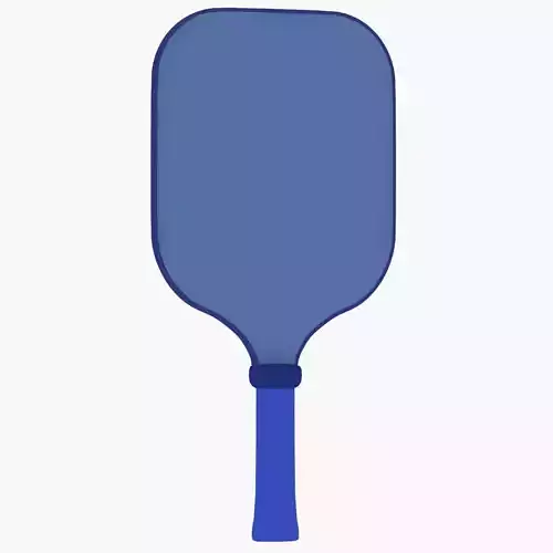 Pickleball generic paddle