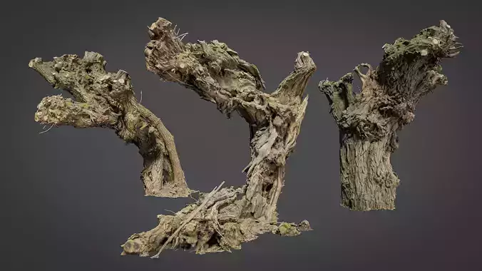 Old willows - Package 3D model