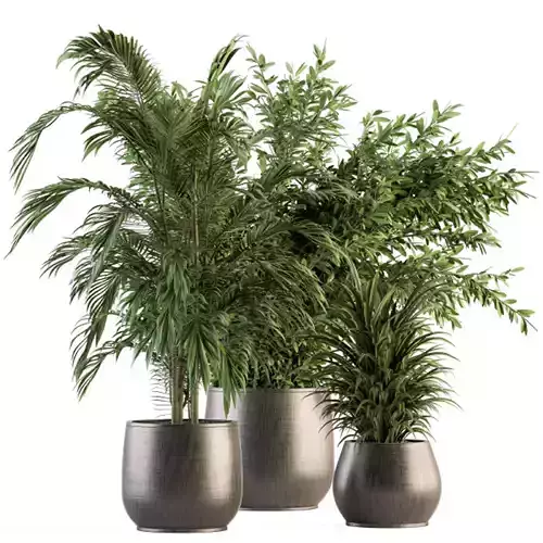 indoor Plant Set 1