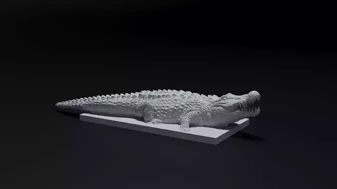 Crocodile 3D print model
