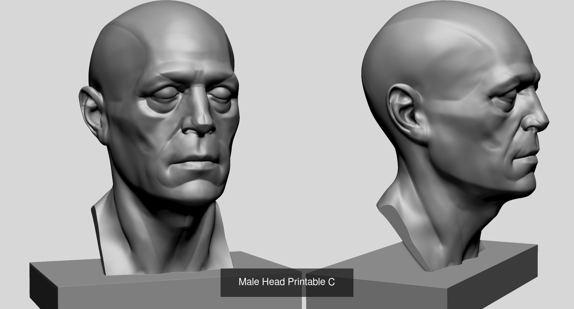 Male Heads for 3DPrint 3D Model Collection_16