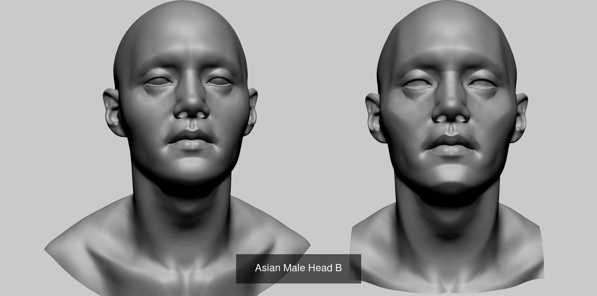 Male Heads for 3DPrint 3D Model Collection_13