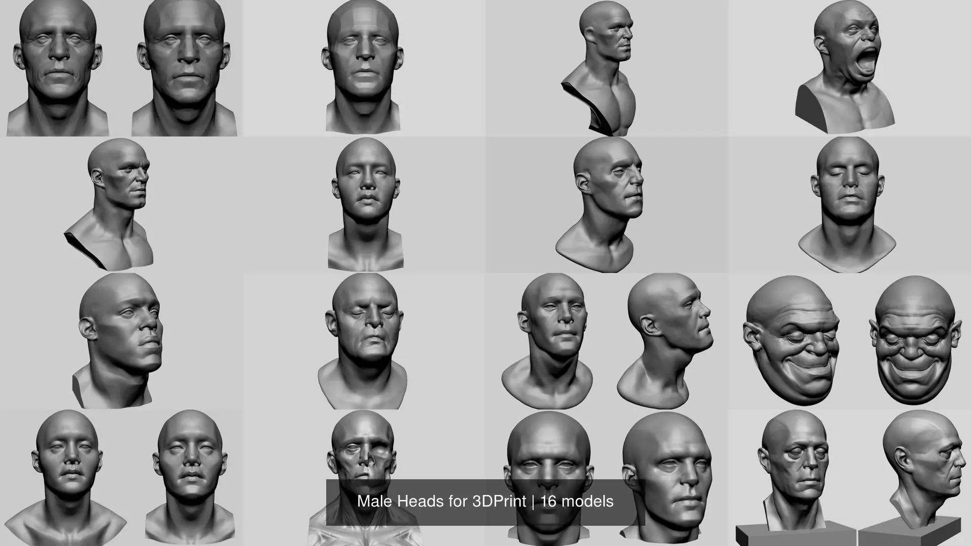 Male Heads for 3DPrint 3D Model Collection_0