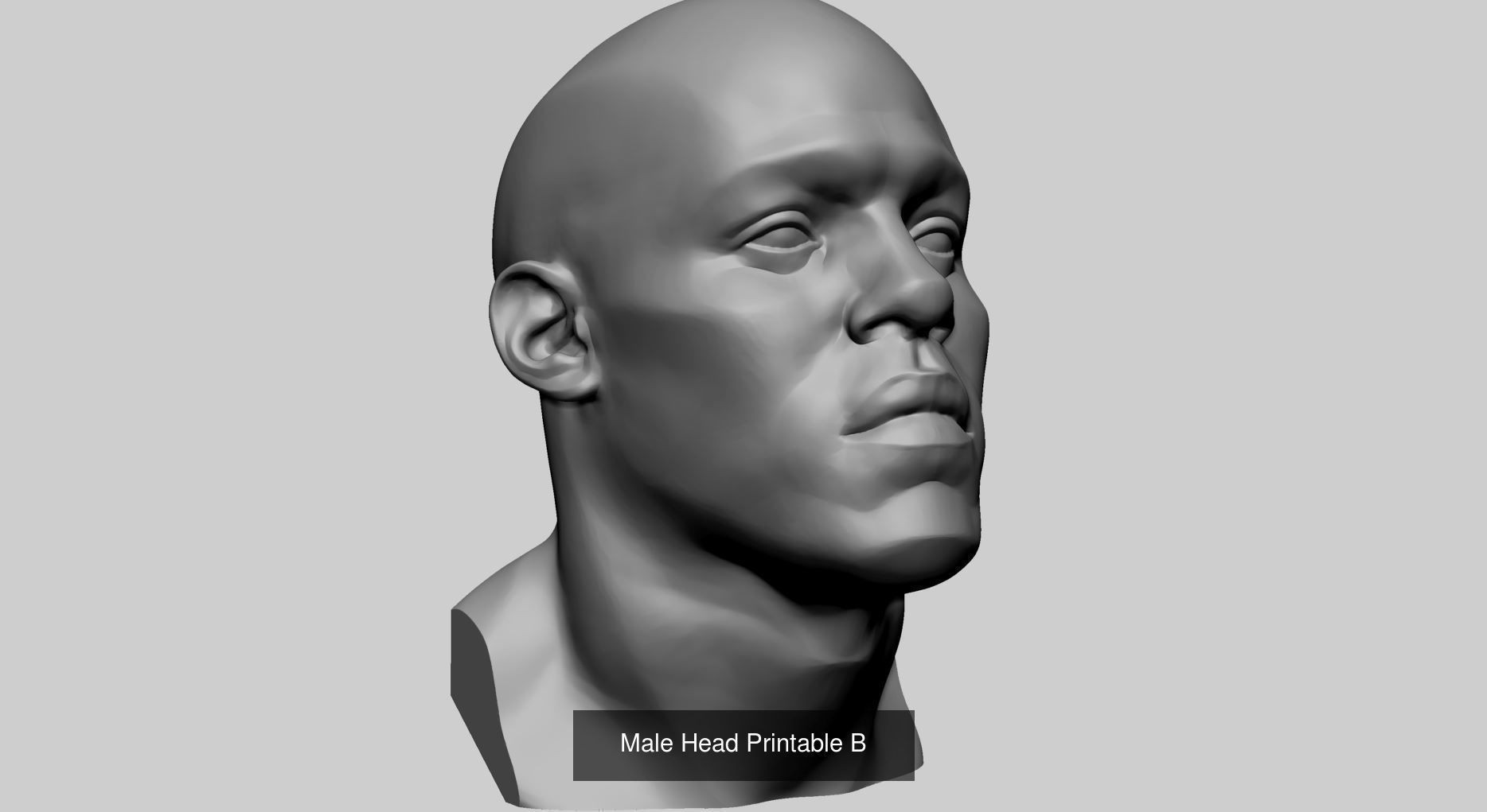 Male Heads for 3DPrint 3D Model Collection_9
