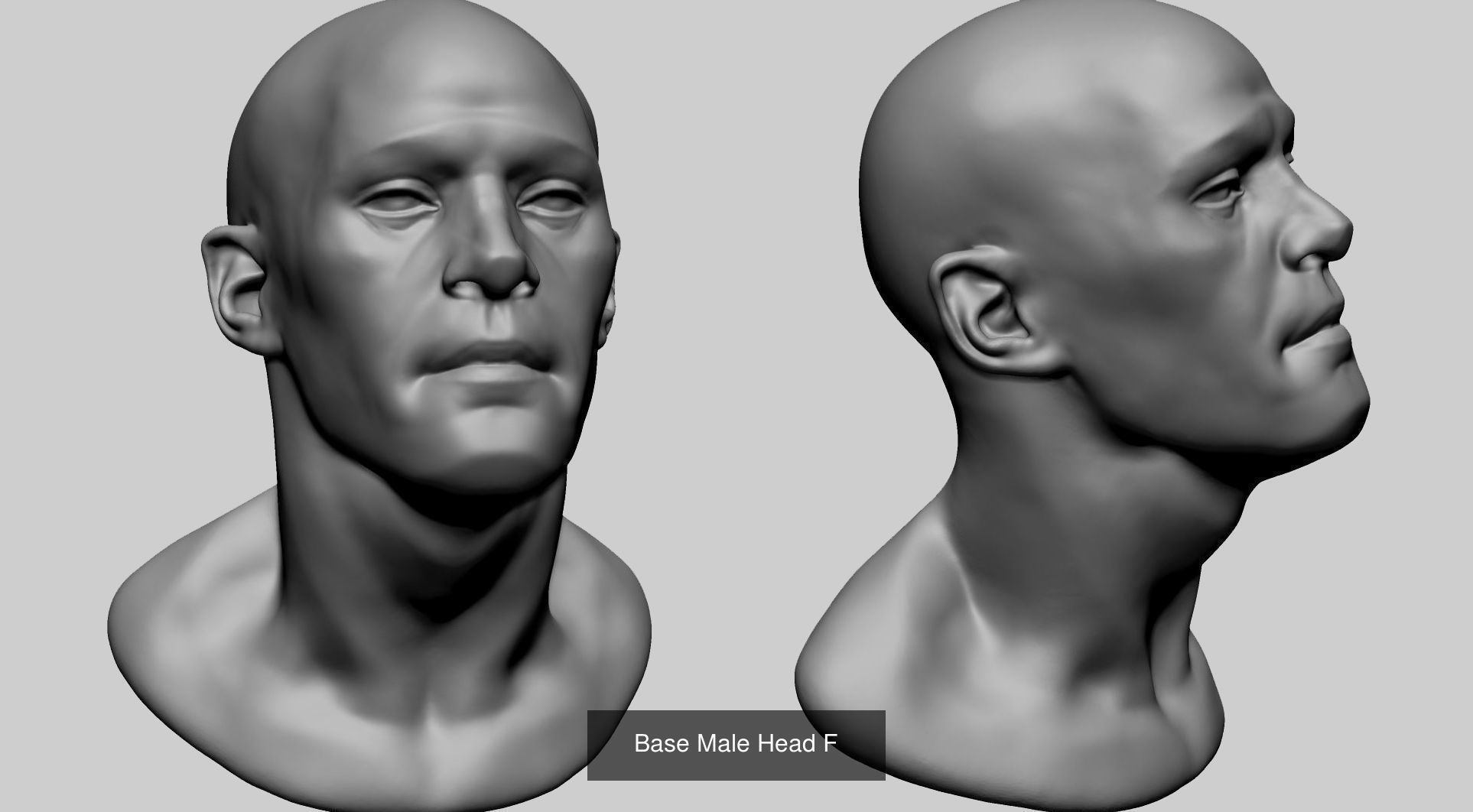 Male Heads for 3DPrint 3D Model Collection_11