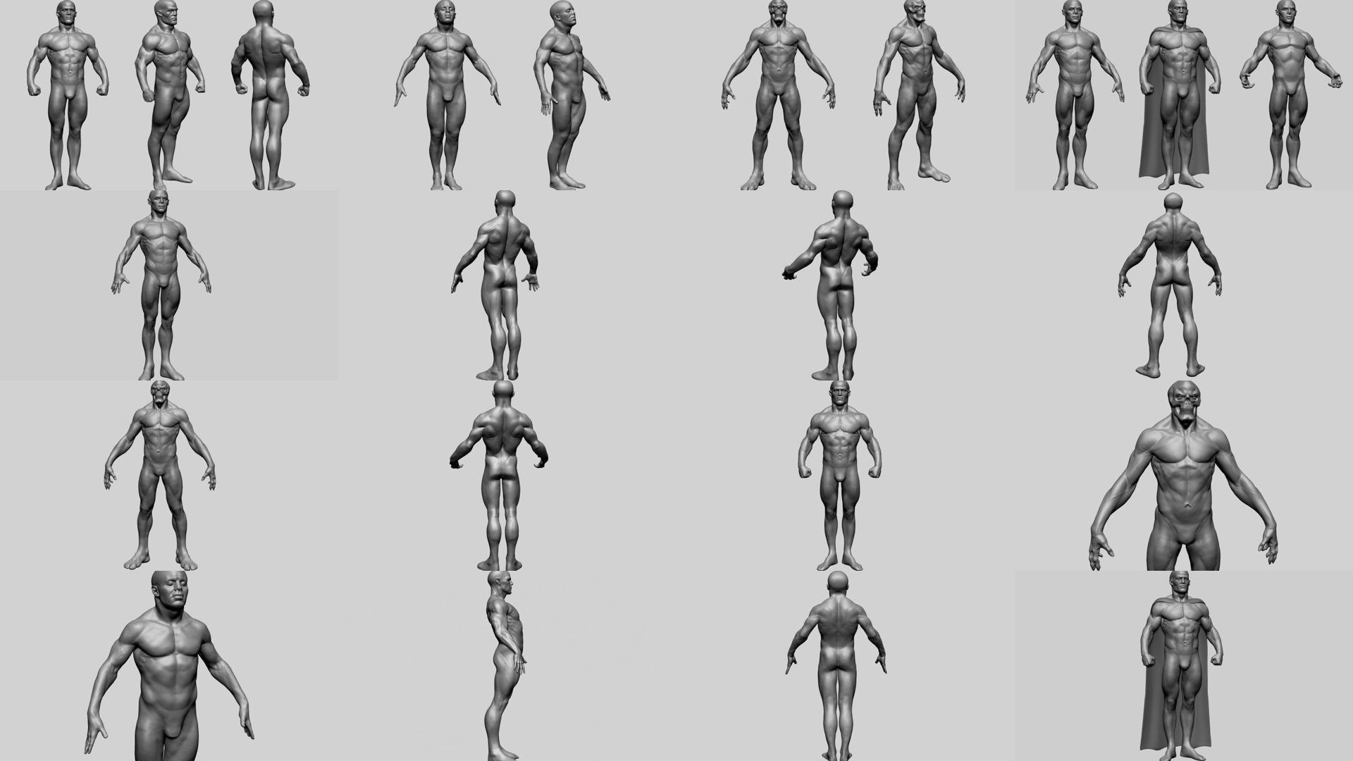 Male Anatomy Models F 3D Model Collection_1