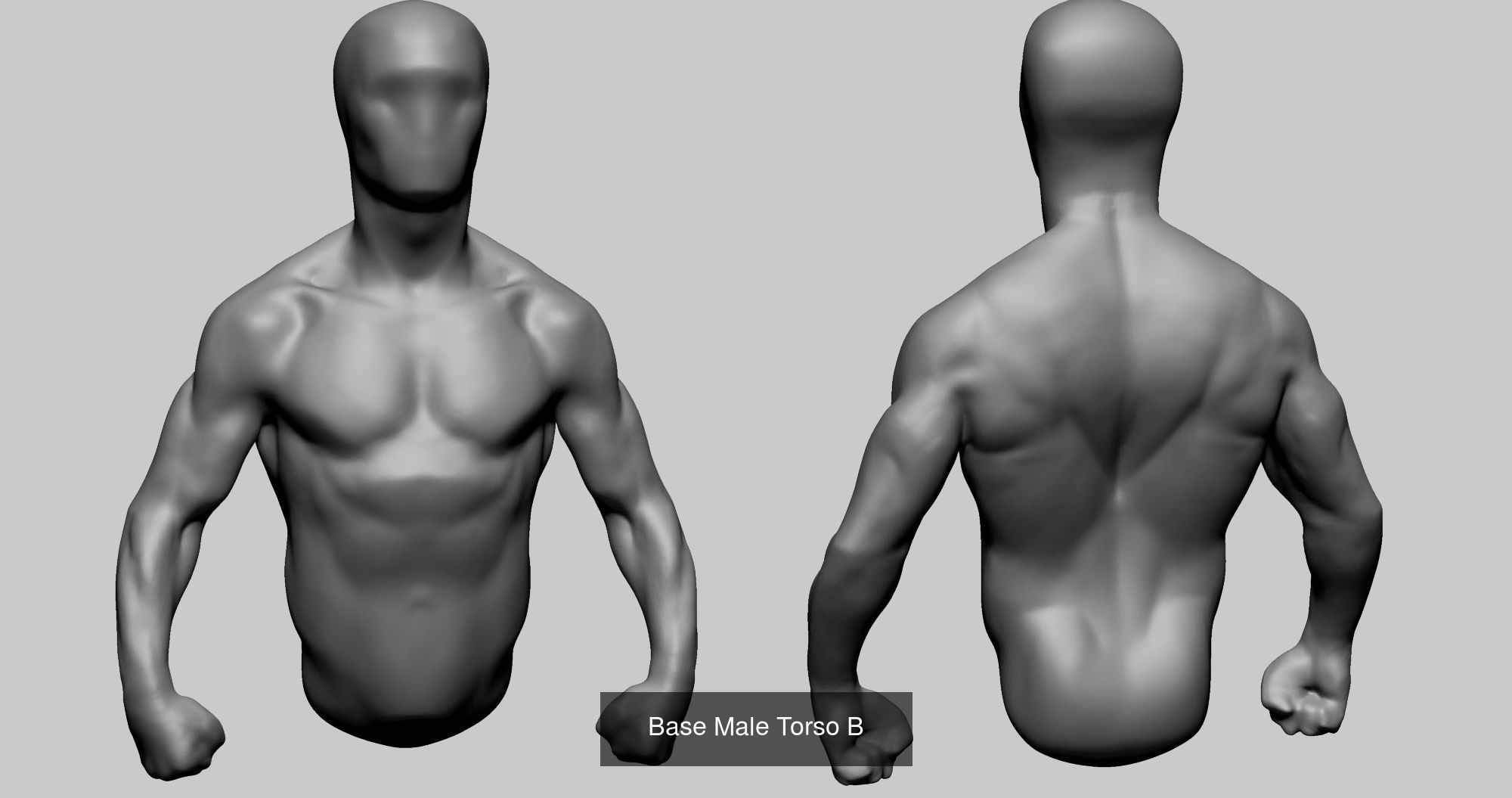 Male Anatomy Models F 3D Model Collection_5