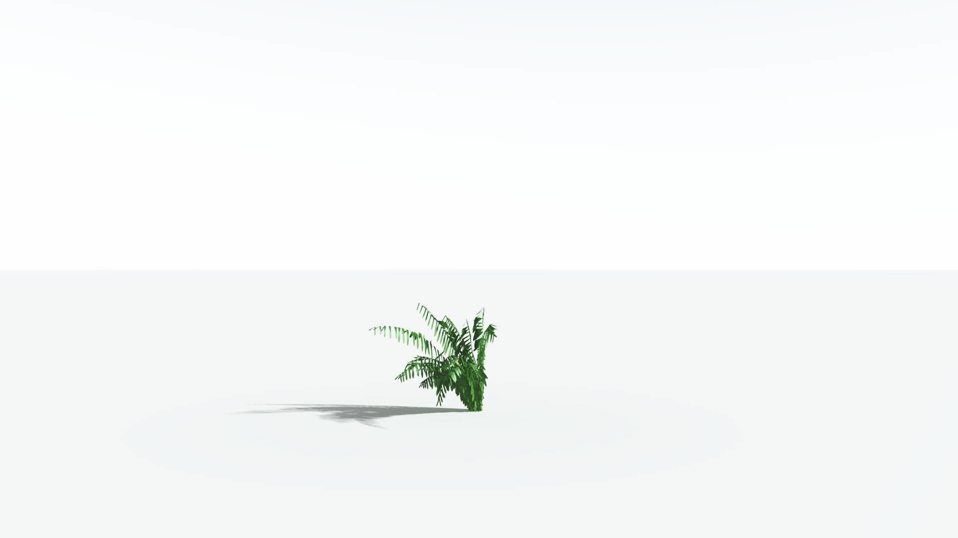 EVERYPlant Seashore Palm LowPoly 4 --12 Models-- Low-poly 3D model_18