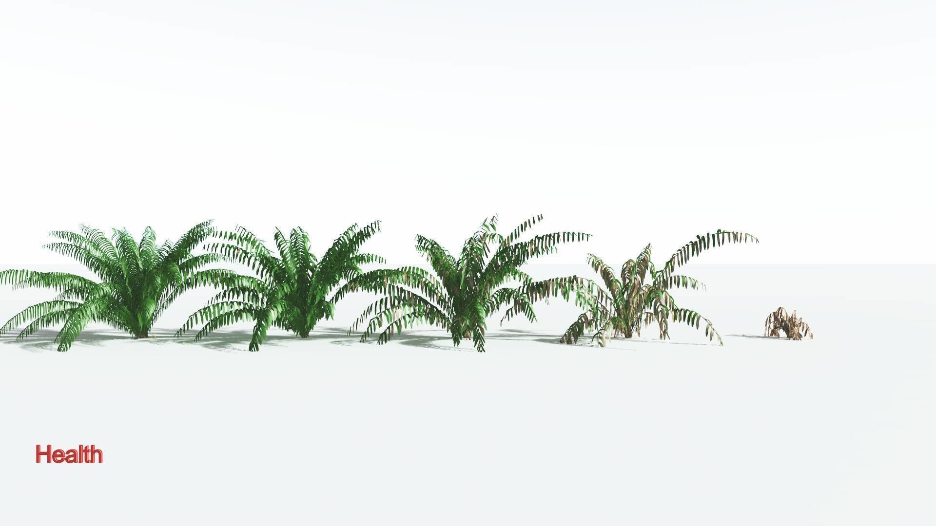 EVERYPlant Seashore Palm LowPoly 4 --12 Models-- Low-poly 3D model_1