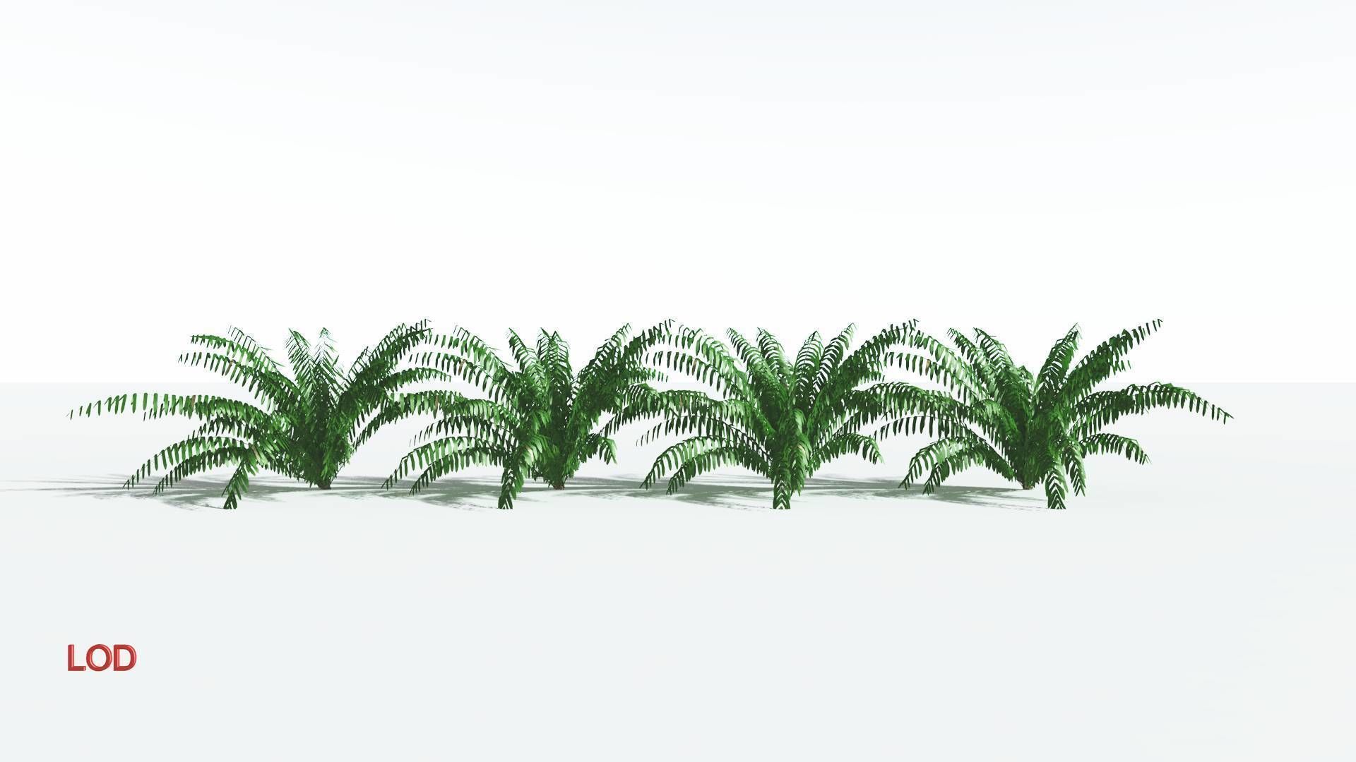 EVERYPlant Seashore Palm LowPoly 4 --12 Models-- Low-poly 3D model_3