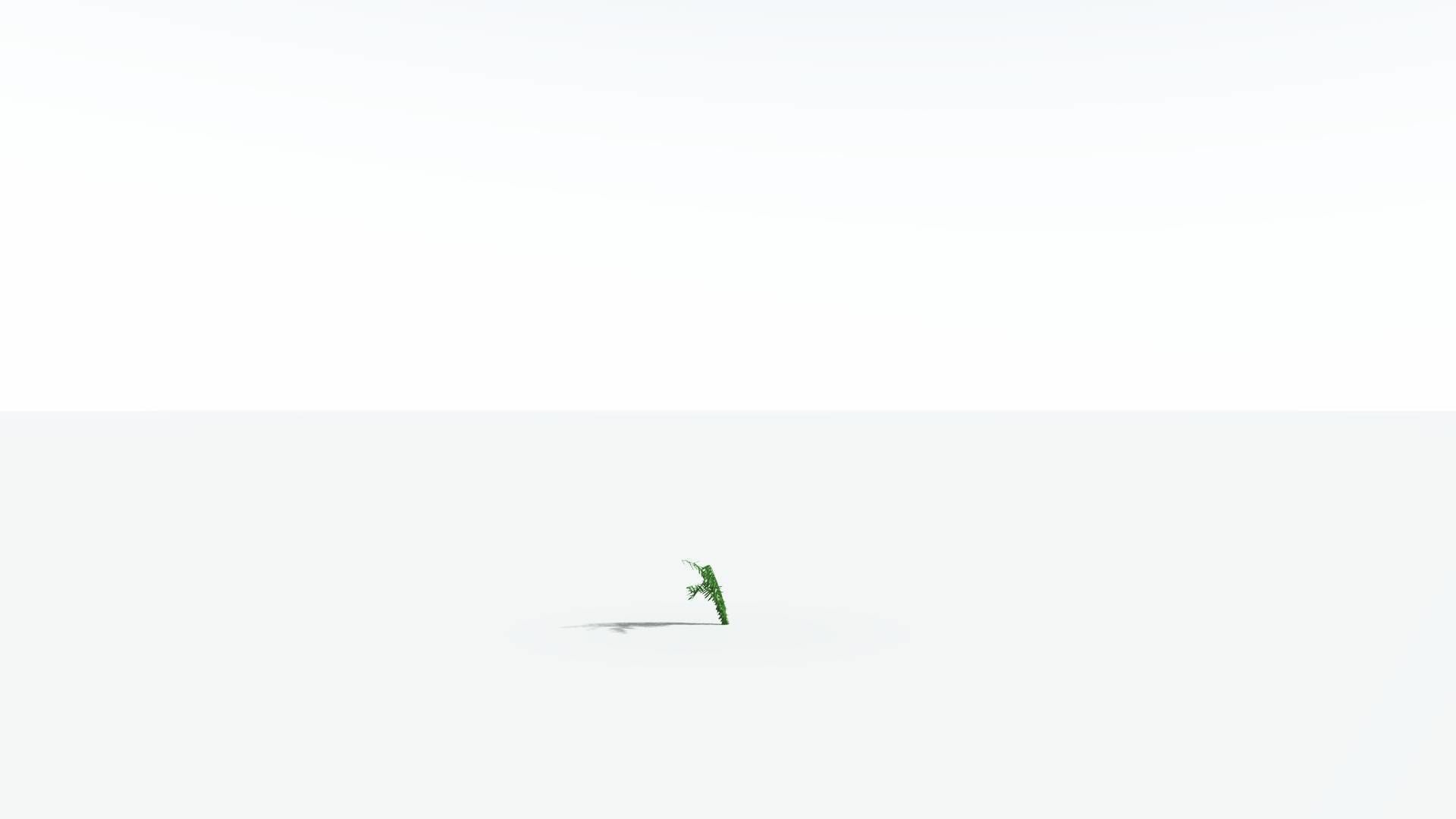 EVERYPlant Seashore Palm LowPoly 4 --12 Models-- Low-poly 3D model_20