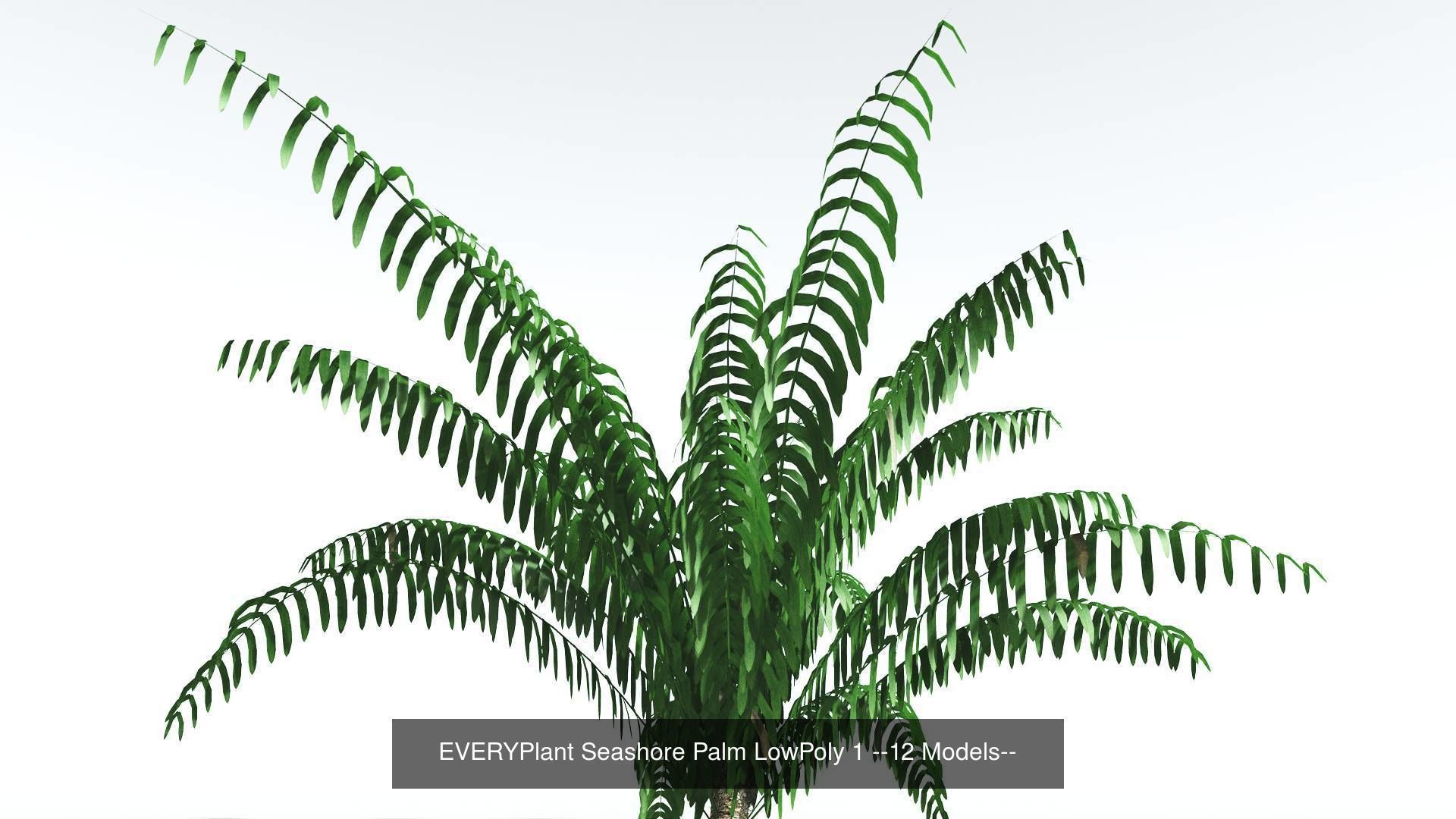 EVERYPlant Seashore Palm LowPoly Bundle --48 Models-- 3D Model Collection_1