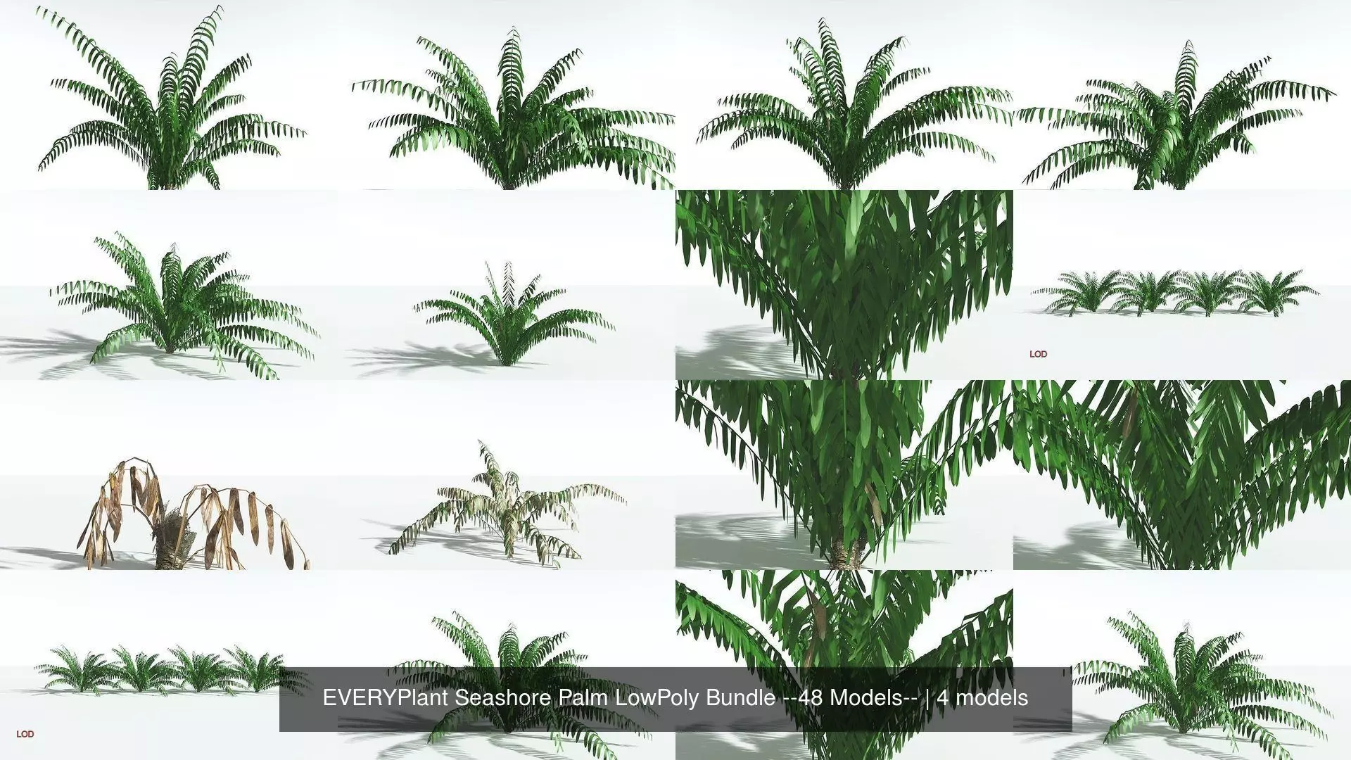 EVERYPlant Seashore Palm LowPoly Bundle --48 Models-- 3D Model Collection_0