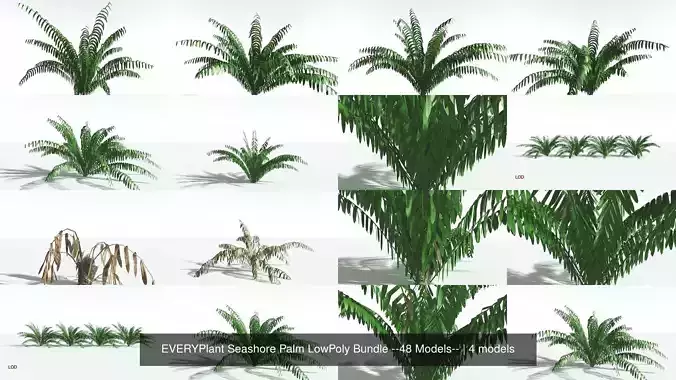 EVERYPlant Seashore Palm LowPoly Bundle --48 Models-- 3D Model Collection