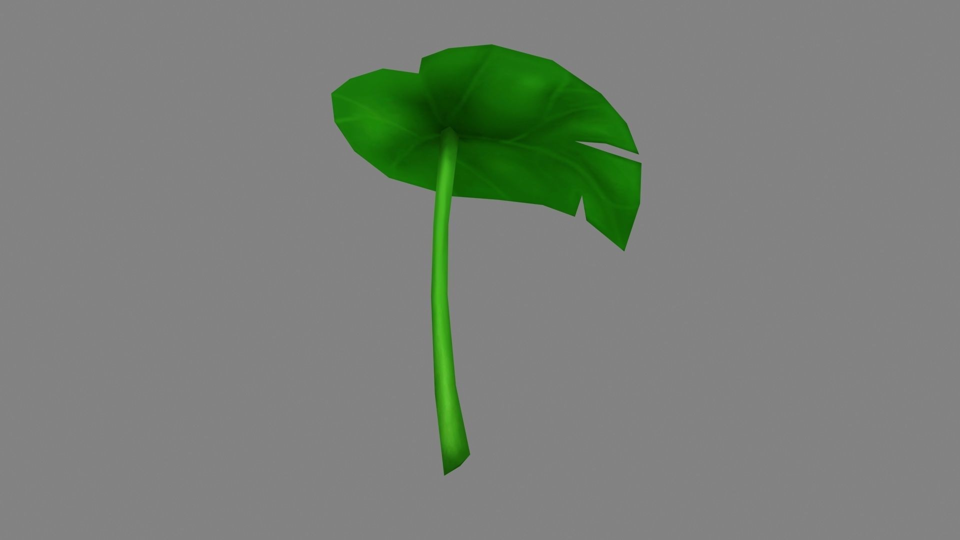 A taro leaf - Cartoon leaf Low-poly 3D model_2