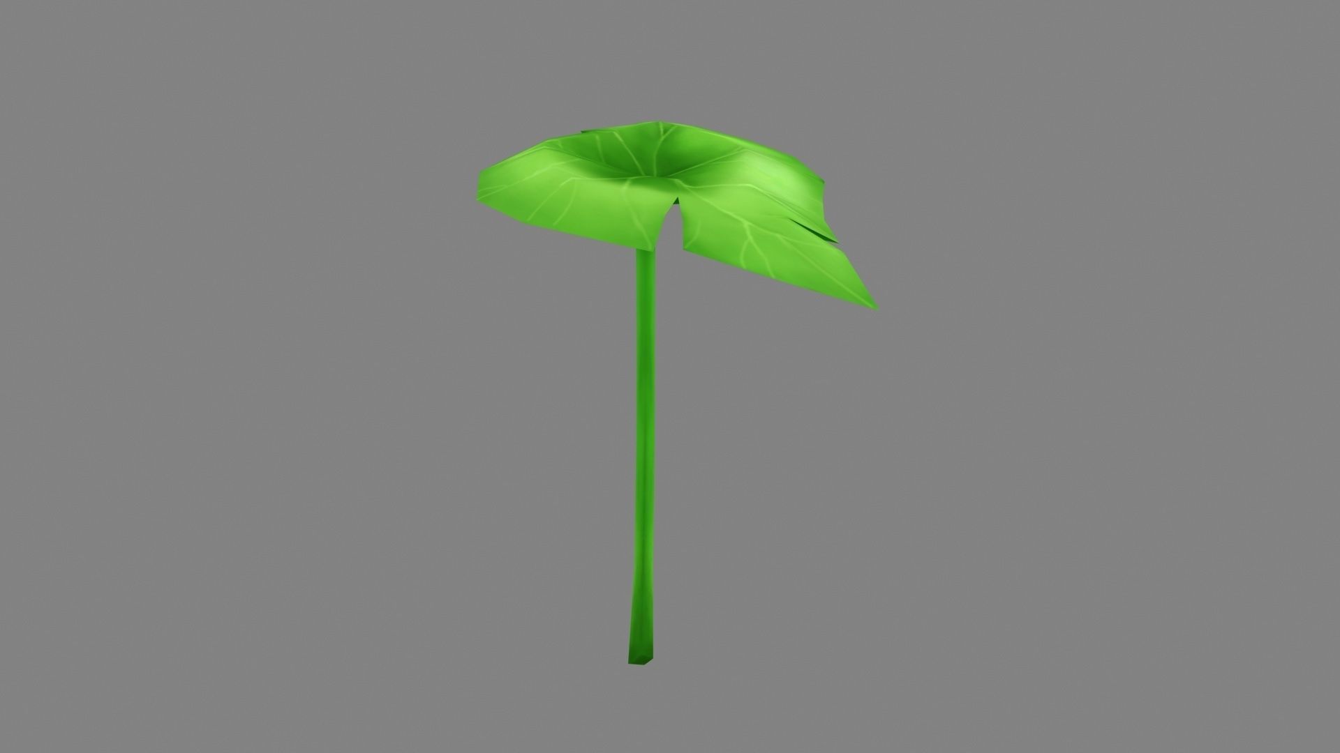 A taro leaf - Cartoon leaf Low-poly 3D model_1