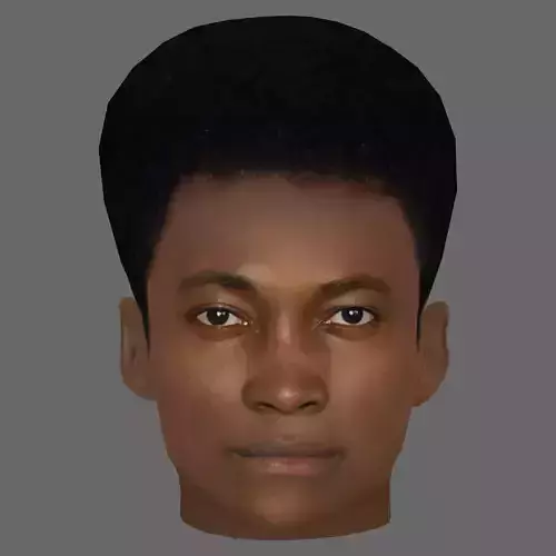 Benjamin Clementine Head - Low poly head for game
