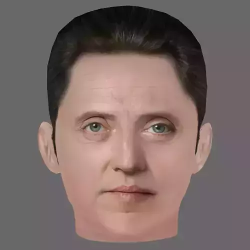 Christopher Walken Head - Low poly head for game Low-poly 3D model