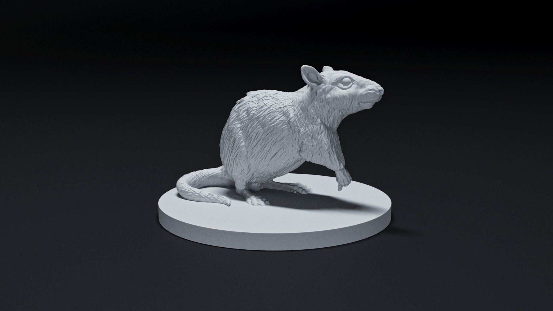 rat animal 3D print model_1