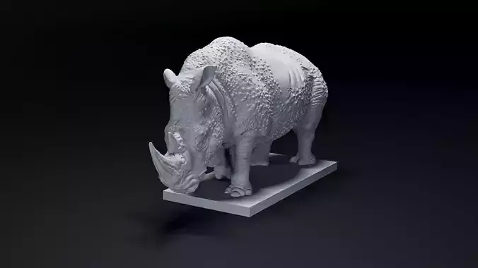 rhino