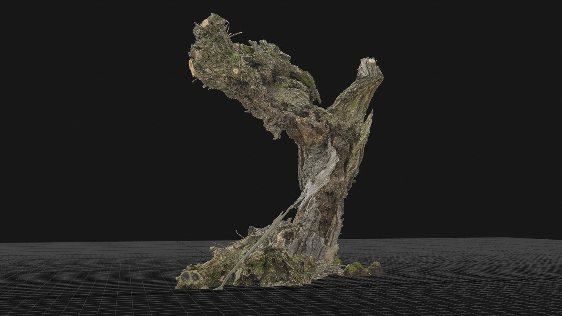 Old willow 01 3D model_3