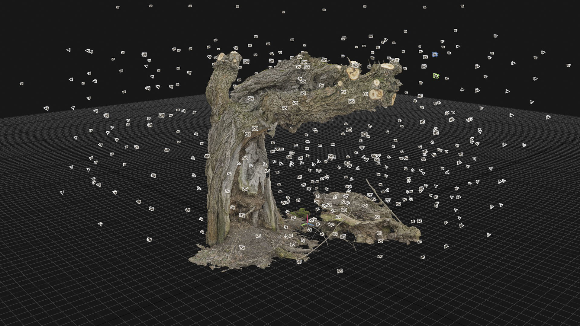 Old willow 01 3D model_4