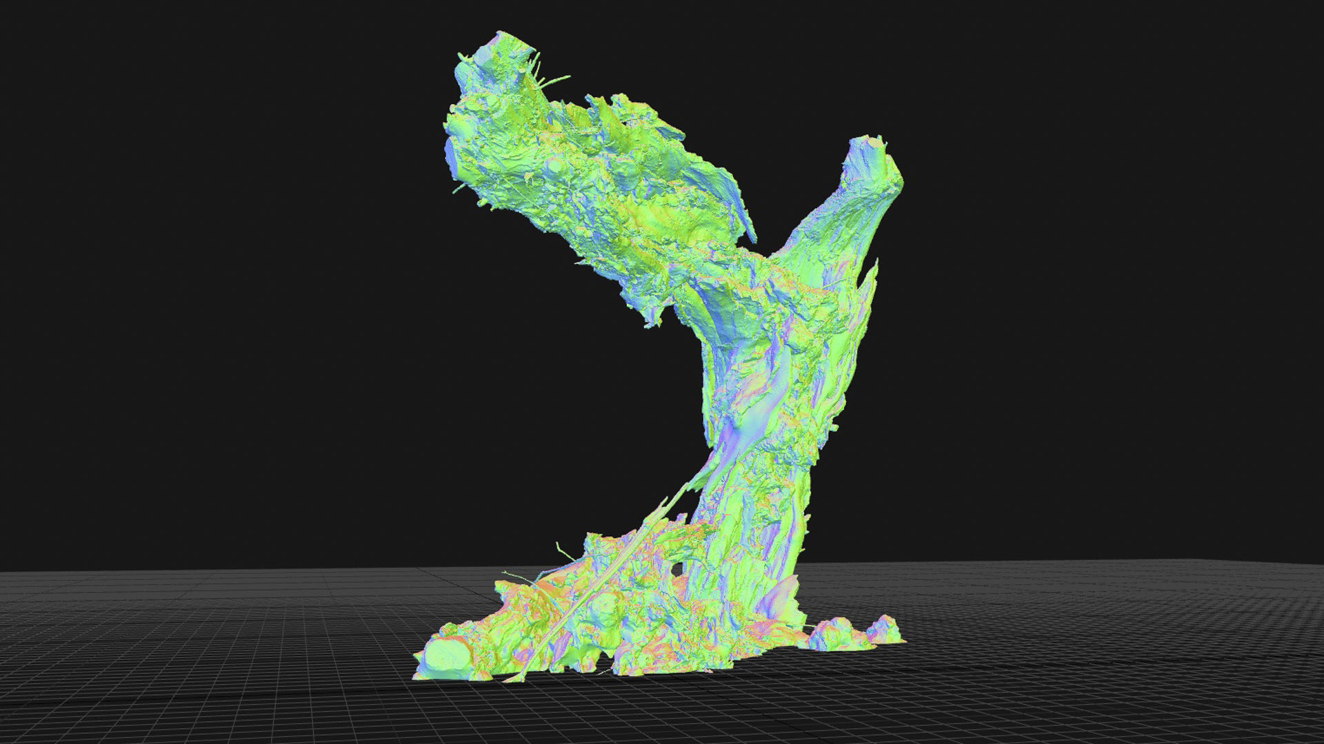 Old willow 01 3D model_2