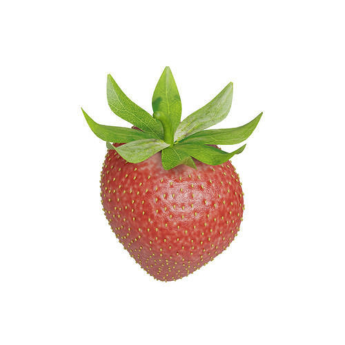 Strawberry Cup 3D model 6