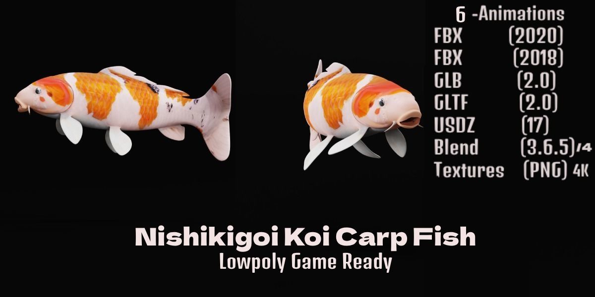 Nishikigoi Koi Fish Low-poly 3D model_7
