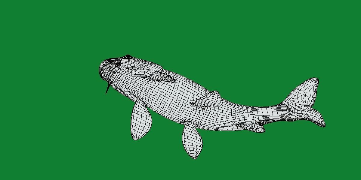 Nishikigoi Koi Fish Low-poly 3D model_27